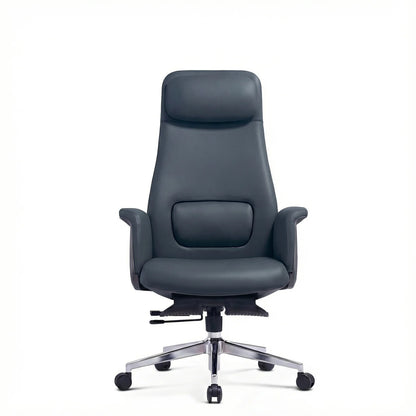 EVIS ErgoLeder Ergonomic Office Chair