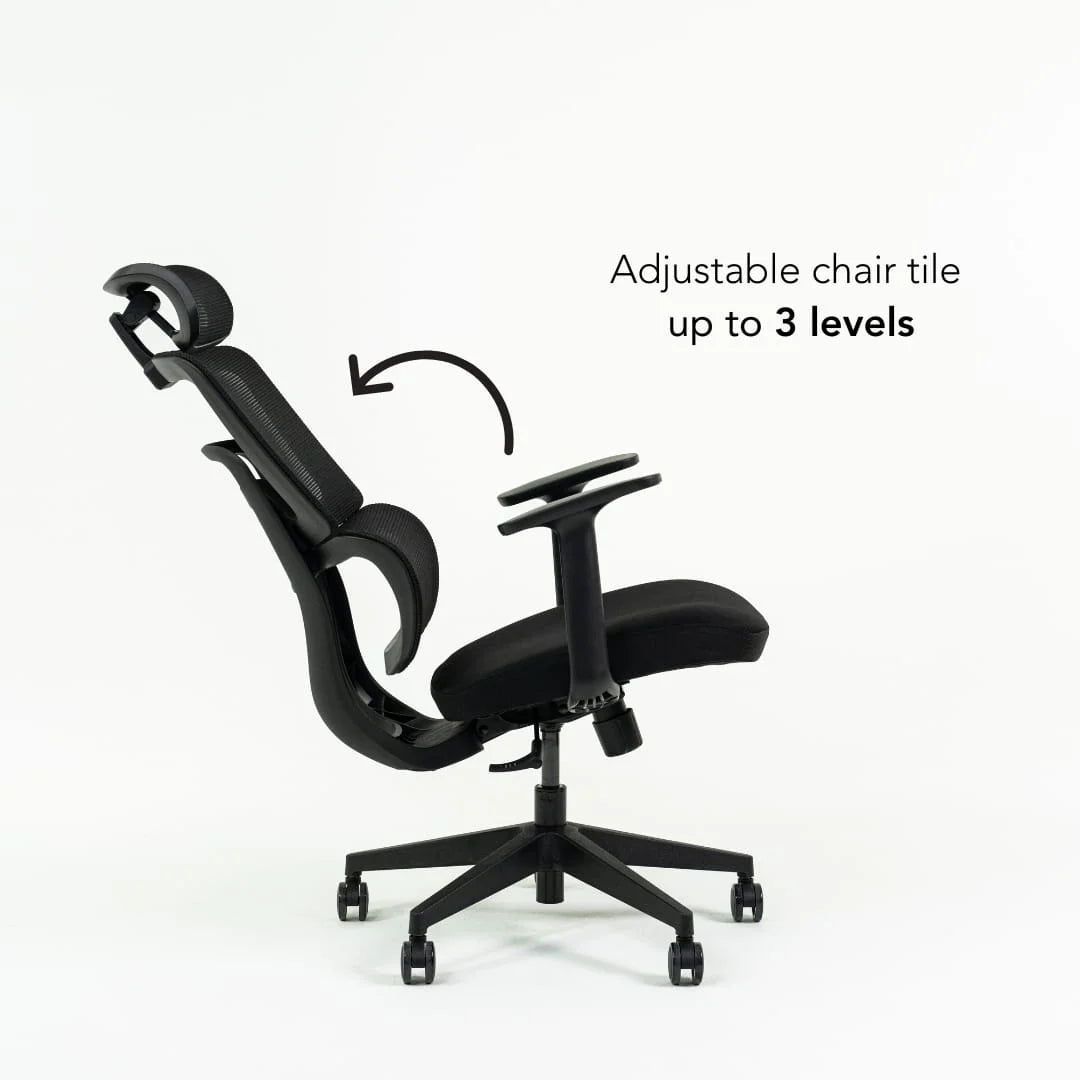 EVIS ErgoFlow Ergonomic Chair