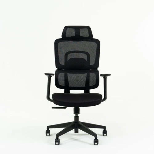 EVIS ErgoFlow Ergonomic Chair