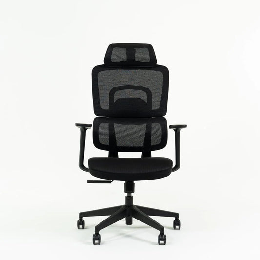 EVIS ErgoFlow Ergonomic Chair