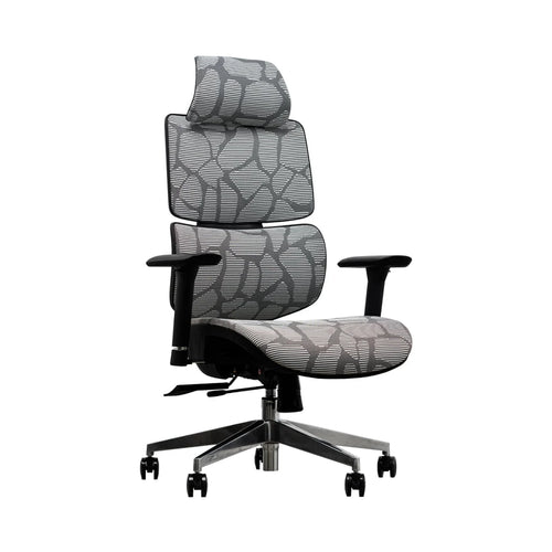 EVIS ErgoX Ergonomic Office Chair