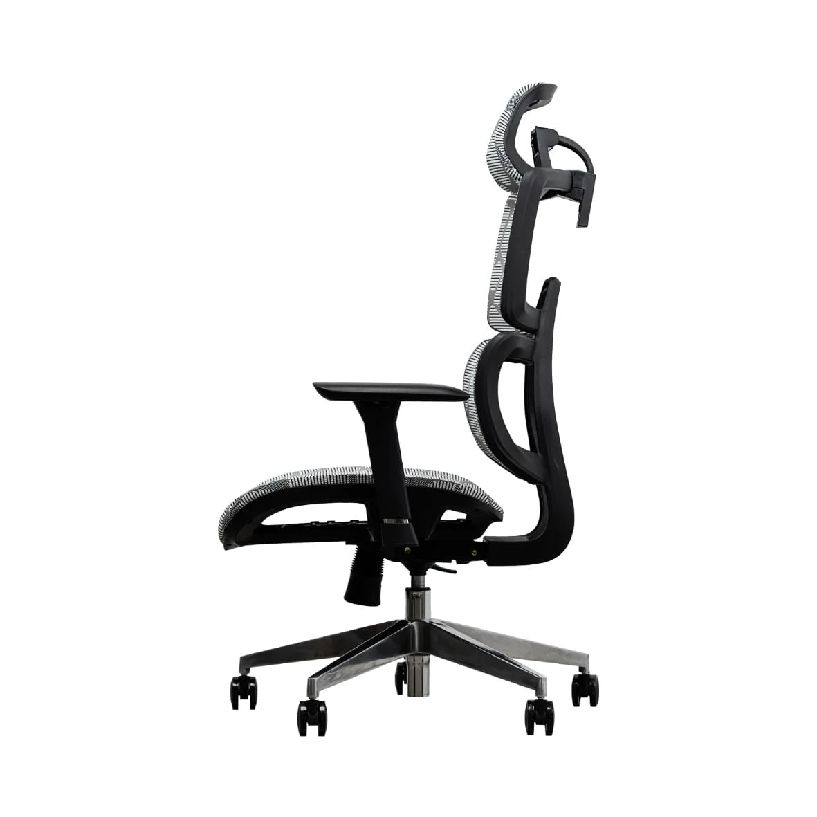 EVIS ErgoX Ergonomic Office Chair