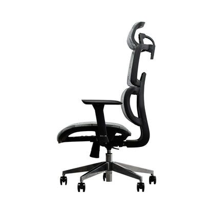 EVIS ErgoX Ergonomic Office Chair